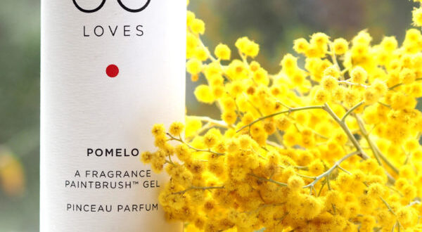 Jo Loves Pomelo A Fragrance Paintbrush | British Beauty Blogger