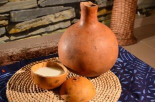 Palm Wine: The health benefits of this drink will amaze you