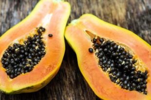 Pawpaw: The health benefits of this fruit will blow your mind