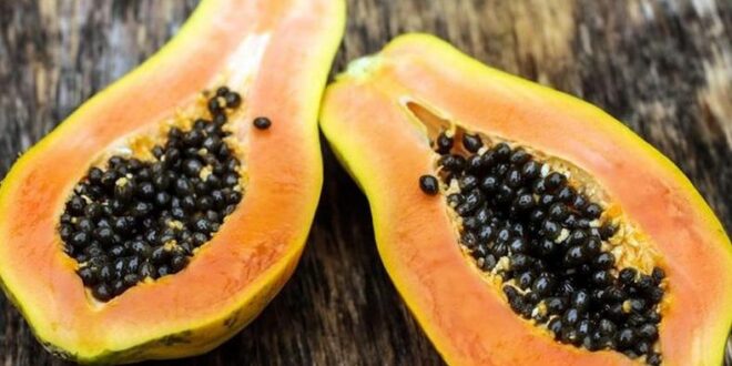 Pawpaw: The health benefits of this fruit will blow your mind