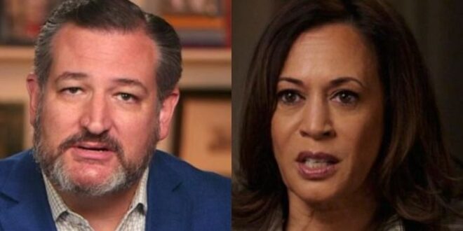 Ted Cruz Calls Out Kamala Harris For Border ‘Mess’ – Says She Has ‘Only One Option’ To Handle It