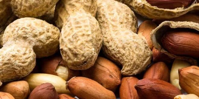 The health benefits of eating groundnuts (peanuts)