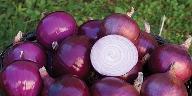 3 ways to treat acne with onions for flawless skin