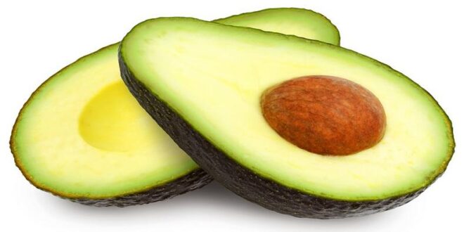 Avocado Pear: The health benefits of this fruit are priceless