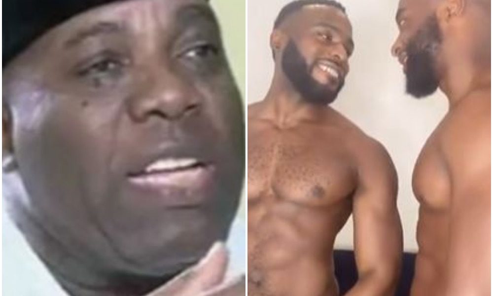 Couple Alert? Gay Son Of Ex- President Jonathan’s Aide, Bolu Okupe Shares Hot Clips With Rumored Bae