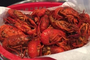 Crayfish: The health benefits of eating this seafood are incredible