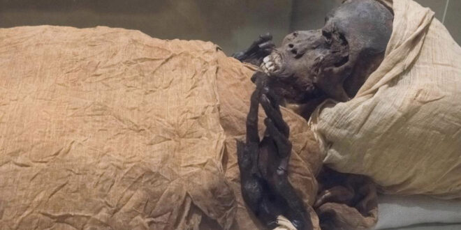 Egypt: 22 mummies move to new museum in grand parade