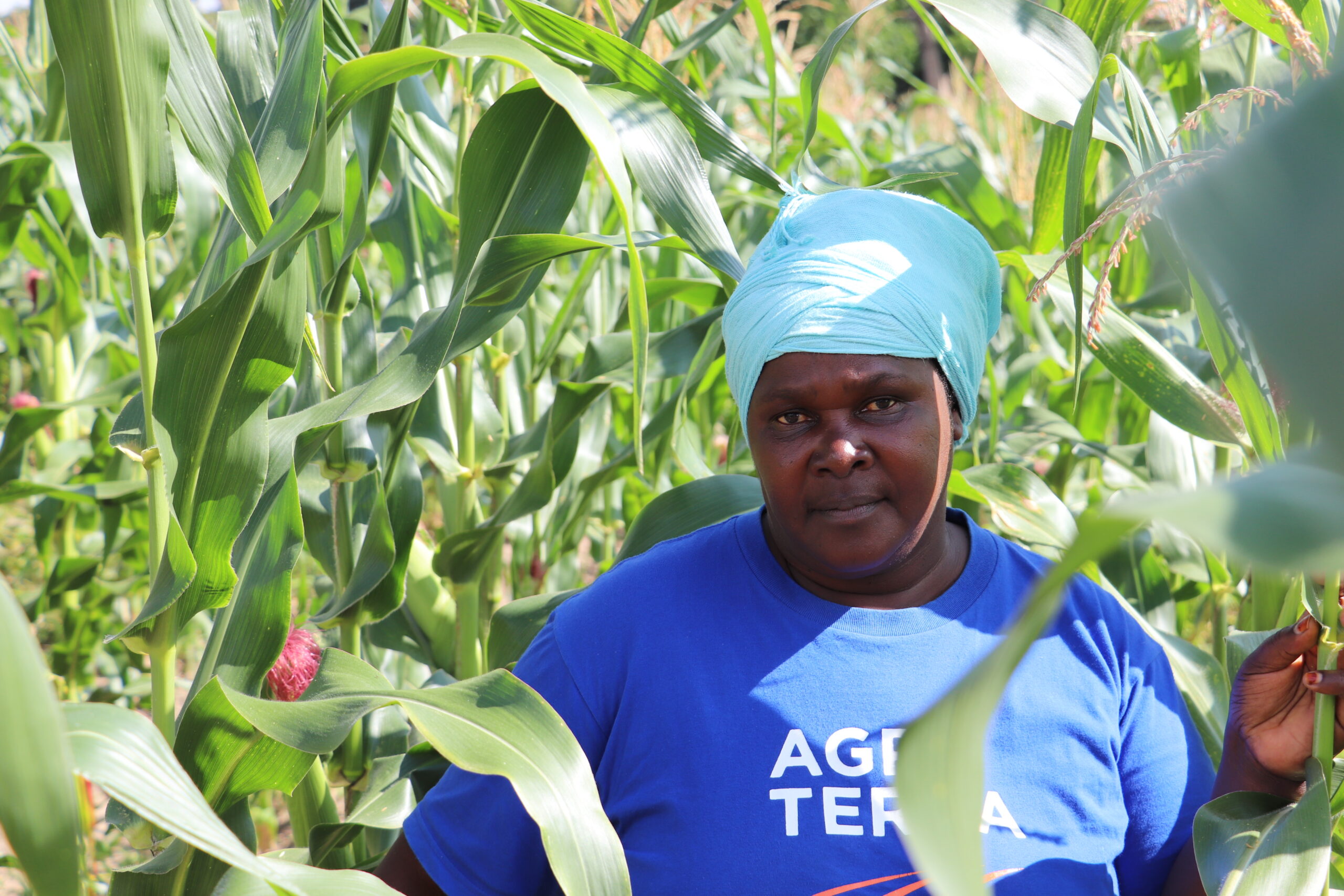 Farming-Specific Loans Help Tanzania's Smallholders Increase Productivity