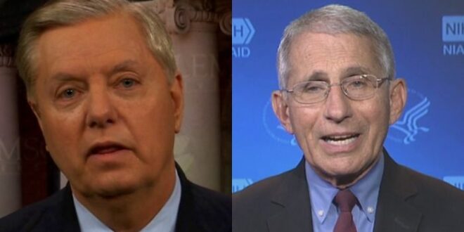 Lindsey Graham Torches Fauci – Says He Should Be Calling For Migration Programs To Be Shut Down