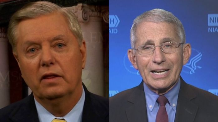 Lindsey Graham Torches Fauci – Says He Should Be Calling For Migration Programs To Be Shut Down