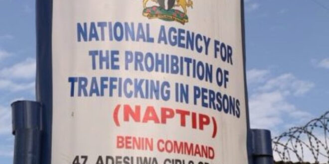NAPTIP reunites human trafficking victim with her family after 20 years