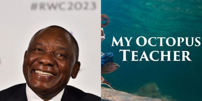 Oscars 2021: SA president Cyril Ramaphosa celebrates 'My Octopus Teacher' documentary win