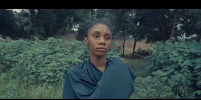 Toyosi Ige premieres 'Oiza's Nexus' short film