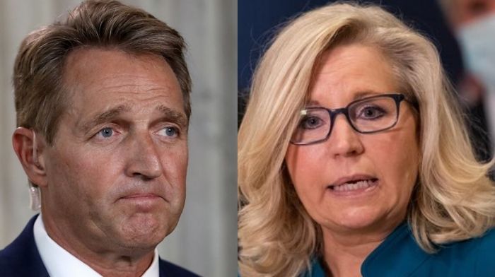 Ex-GOP Senator Flake Whines About ‘Awful’ Liz Cheney Ousting – GOP Is ‘President Trump’s Party Now’