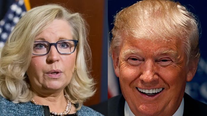 Liz Cheney Admits She Voted For Trump In 2020 – ‘I Do Regret’ It