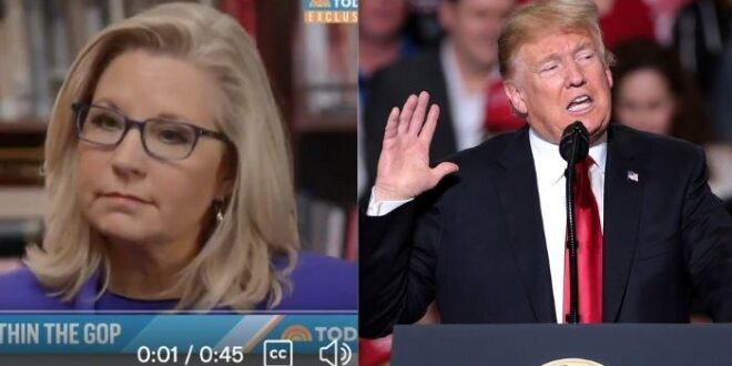 Liz Cheney Floats Conspiracy Theory That Trump Will 'Unravel The Democracy To Come Back Into Power'