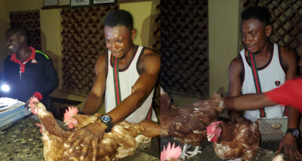 Man who sneaks into chicken farm at night cries in police station as he