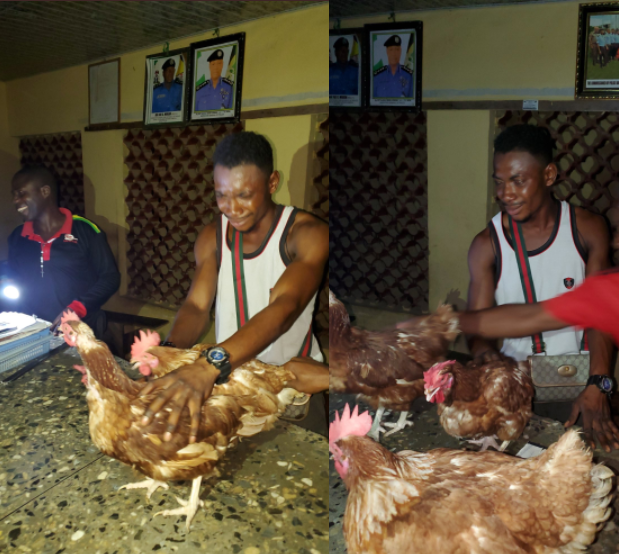 Man who sneaks into chicken farm at night cries in police station as he