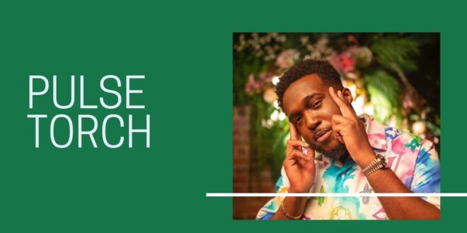 Pulse Torch Vol. 5: Meet ChuXChu, the American-born Nigerian artist with dreams of making hits