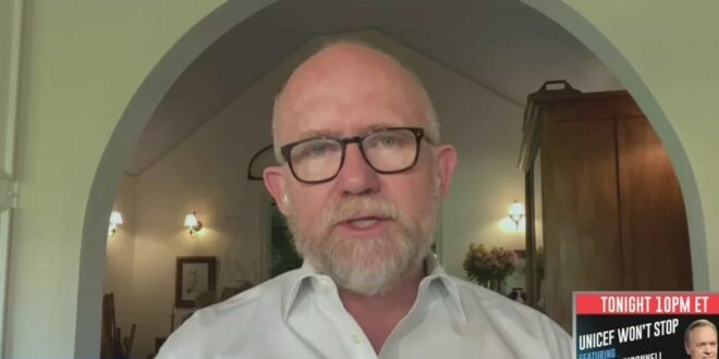 WATCH: Rick Wilson Says if GOP Regains Control They Will Immediately Impeach Biden and Harris