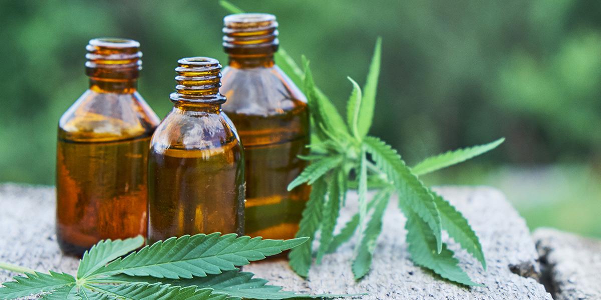 5 surprising health benefits of Cannabis oil