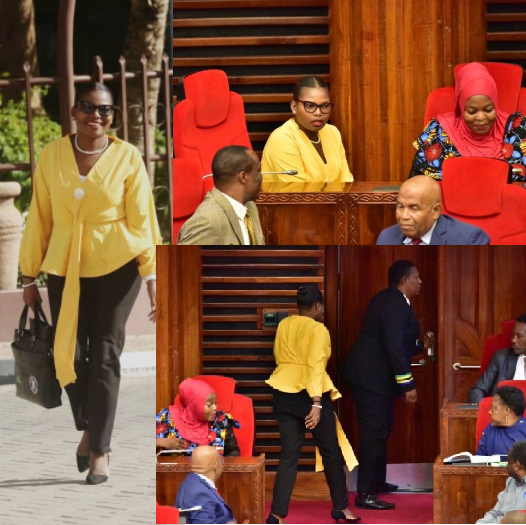 Female MPs in Tanzania demand apology for colleague thrown out of parliament for wearing trousers