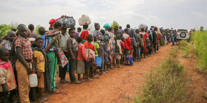 Forced displacement at record level, despite COVID shutdowns: UNHCR