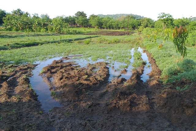 Sowing Water: A Cuban Farm's Bid for Sustainability