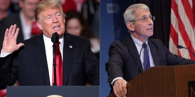 Trump Rips Fauci After Newly-Released Emails: 'What Did He Know And When Did He Know It?'