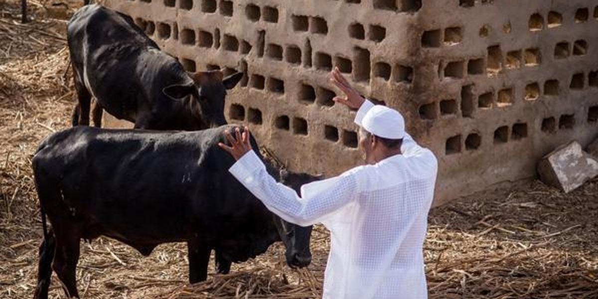 Buhari wants more Nigerians on the farm