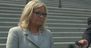 Liz Cheney Unloads And Suggests That Kevin McCarthy Is A Danger To Democracy