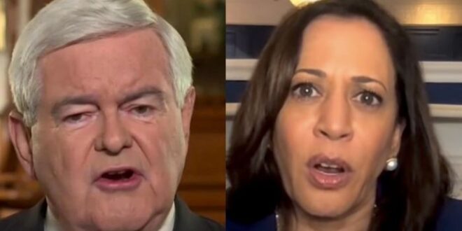 Newt Gingrich Blasts Kamala Harris For Suggesting Rural Americans Are ‘Too Dumb’ To Know How To Vote Accurately