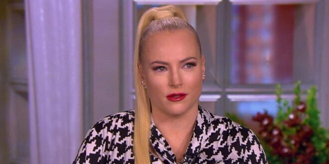 Report: The View Co-Hosts Told Management They Didn’t Want to Work With Meghan McCain Anymore
