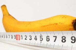 Size matters? The truth about penis stretching