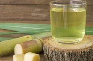 Sugarcane: The health benefits of this plant will leave you speechless