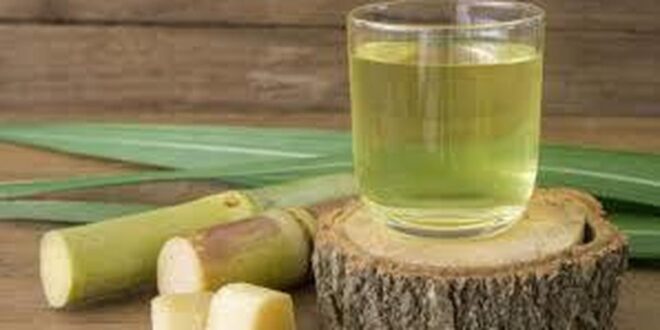 Sugarcane: The health benefits of this plant will leave you speechless