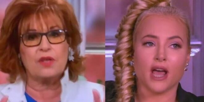 The Women Of ‘The View’ Were ‘At Their Wits’ End’ Before Meghan McCain Announced She Was Leaving – They’re Happy She’s Gone