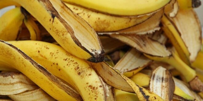 Want to stop wrinkles, skin aging? Try banana peel