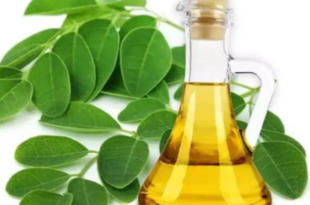 6 health benefits of moringa oil for the skin and hair