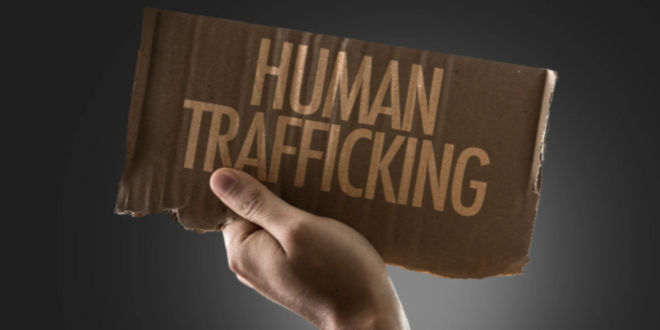 Blue Bus: Key stats show anti-human trafficking campaign is moving in right direction