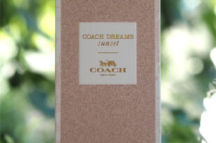 Coach Dreams Sunset | British Beauty Blogger