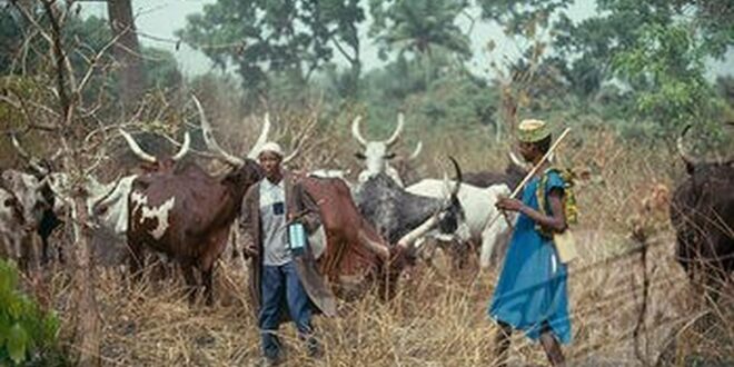 JTF intercepts hundreds of migrating Fulani herdsmen in Kwara