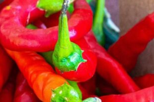 The health benefits of Cayenne Pepper (Shombo)