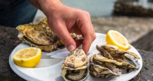 Rock oysters and crêpe bretonne: eight of the best dishes you can try in north-west France