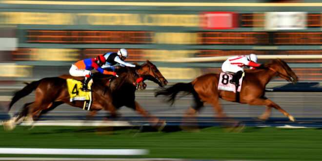 horse racing betting tips