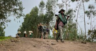 Witnesses accuse Tigray fighters of Kobo killings