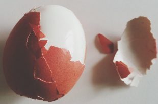 An egg per day reduces heart disease, stroke risks — Nutritionist