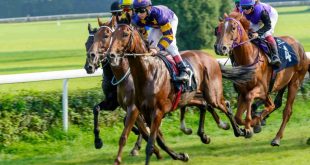 Andrew Mount Horse Racing Tips - Monday October 4th | Sportslens.com