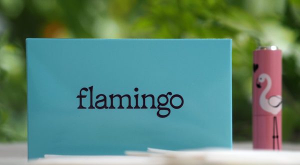 Flamingo Wax Kits | British Beauty Blogger