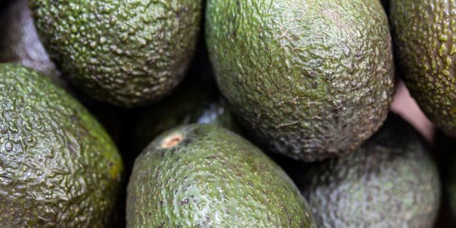 Food Heroes: Ethiopian avocado farmer’s ‘transformational’ crop